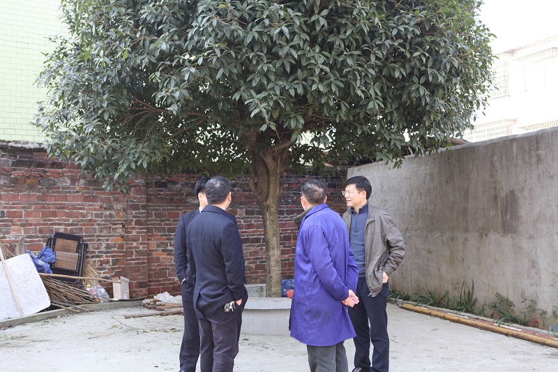 蒋生文董事长在石枧支行察看行容行貌建设情况