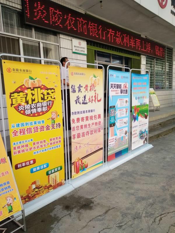 炎陵农商银行:黄桃丰收季 特色营销显实效.jpg