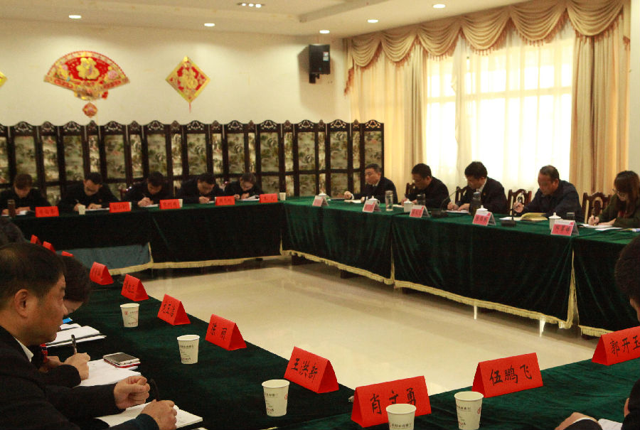 陈伟林主任认真聆听支部书记汇报