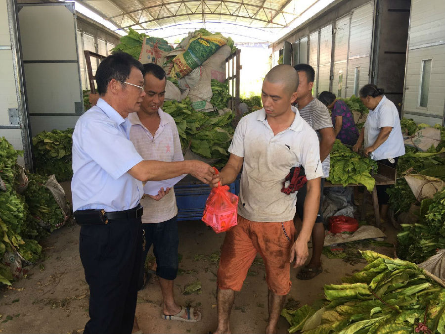 为烟农送上防暑用品