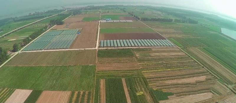 华诚蔬菜专业合作社航拍实景.jpg