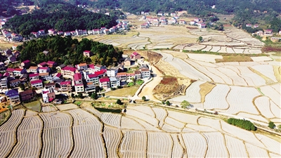 1 在衡山农商银行的“金融活水”浇灌下,福田铺乡白云片区2000多亩油菜已播种,明年4月到5月,这里将成为一片金色的海洋。.jpg