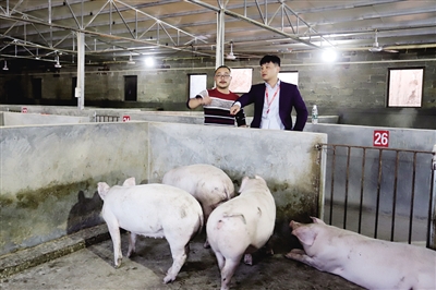3 在衡山县“十佳脱贫之星”旷中伟的生猪养殖场,前来回访的衡山农商银行客户经理正在了解养殖场的运行情况。.jpg