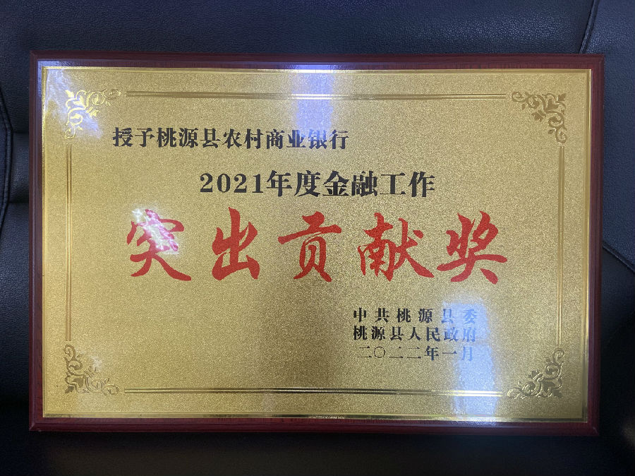 2021年金融工作突出贡献奖.jpg